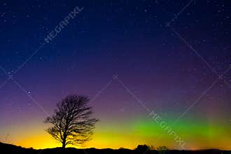 Aurora filled sky