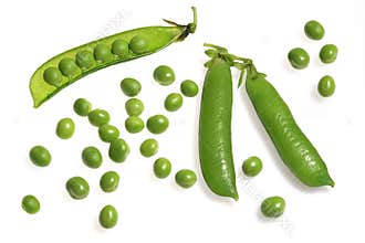 Pea