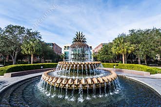 Water Front Park in Charleston South Carolina
