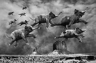 Surreal Flying Elephants, Elephant, Desert
