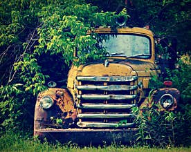 Vintage Yellow Truck in Bushes