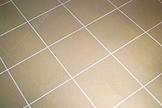 Ceramic tile floor brown color