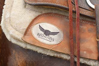 Saddle