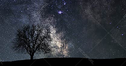 Beautiful astronomy time lapse. Milky Way Time lapse. Lonely tree