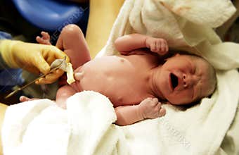 Newborn baby