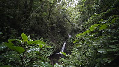 Waterfall in rain forest