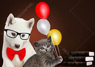 Cat and dog together with books and balloons, Scottish kitten, Husky puppy. Celebration mood.