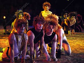 Cats The Musical