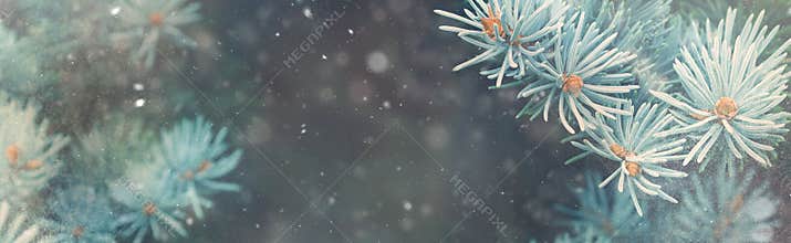 Snow fall in winter forest. Christmas nature magic banner