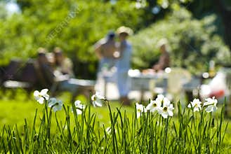Outdoor Summer Party