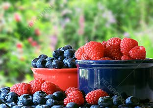 Summer berries