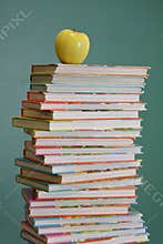 Childrens school books