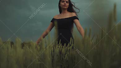 Attractive young long-haired woman in a black bare shoulder dress whirling in the field of golden wheat in a strong