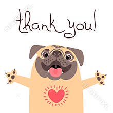 Cute dog says thank you. Pug with heart full of gratitude.