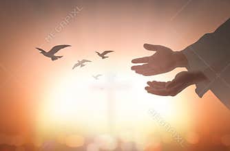 Open Hands Toward Light With Flying Birds Symbolizing Prayer Hope and Spiritual Freedom