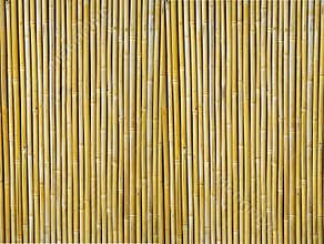 Bamboo Textured Background