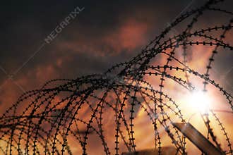 Barbed wire