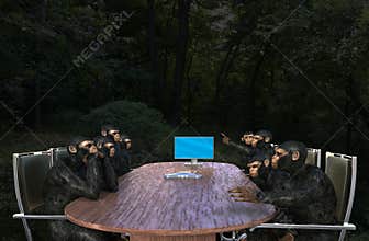 Monkey Business Meeting, Sales, Marketing