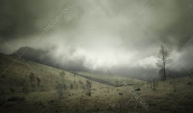 Mount Guntur