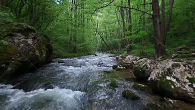 Beautiful nature mountain river slow motion