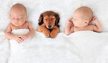 Newborn baby and puppy