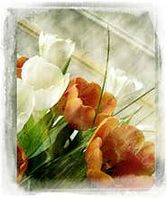 Vintage flower
