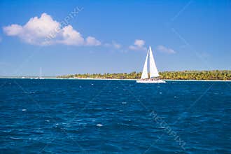 Catamarans cruising the sea