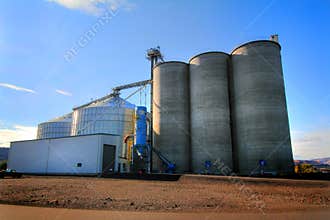 Huge Grain Elevator Complex