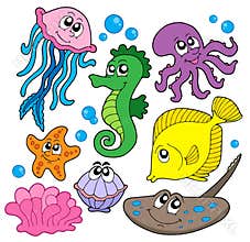 Marine fish collection