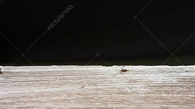 Old wooden board black background