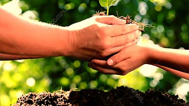 Gardening child and mom