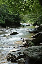 Tennessee Creek