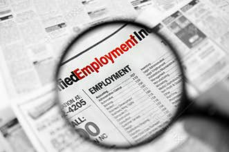 Job hunt