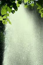 Bright Rain
