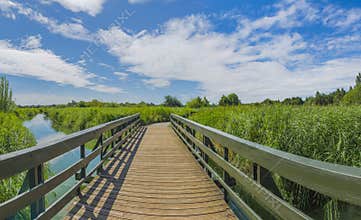 Landscape of London Wetlands Center nature reserve