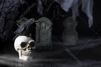 Halloween Raven and Skull