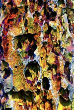 Colorful cave stalactites formation