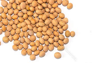 Soyabean spread