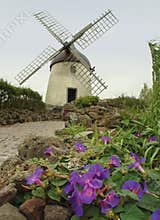 An old windmill inGraciosa ,Azores