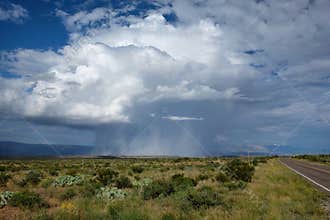 Rain Shaft