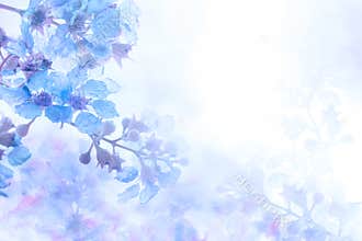 Abstract soft sweet blue purple flower background from Plumeria frangipani