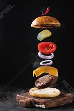 Flying burger