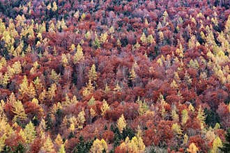 Austria: Autumn colours