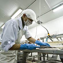 Fish processing manufacture