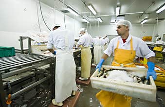 Carrying box of fish