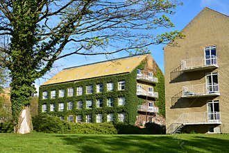 Aarhus University campus