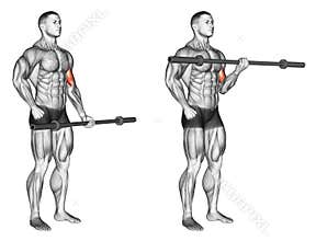 Exercising. One arm biceps curl with olympic bar