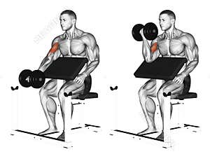 Exercising. One arm dumbbell preacher curl