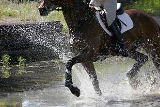 Equestrian Splashing