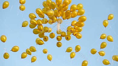 Yellow balloons fly